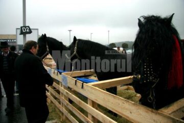 Asociația Crescătorilor de Ovine și Caprine „Plaiul Bucovinei”, prezentă la târgul „Produs în Bucovina”