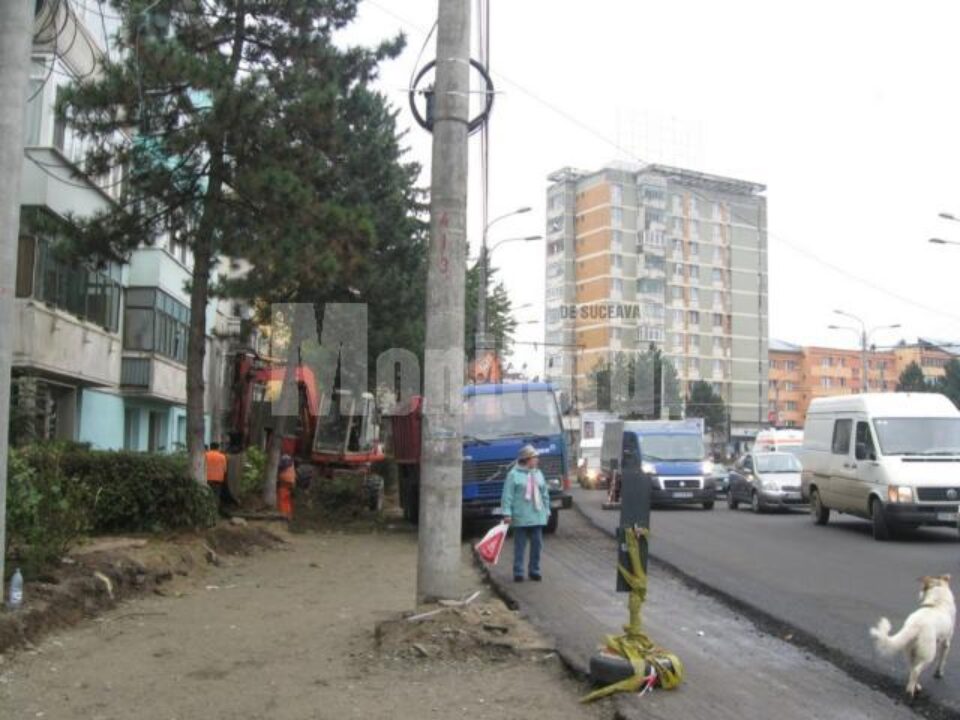 Sucevenii care au fost prezenți la târg au avut parte de o atmosferă de sărbătoare
