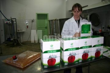 Narcisa Maresciuc este bucuroasă că și-a găsit un loc de muncă la ea în sat