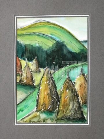 Radu Bercea - Peregrin 2011. Bucovina