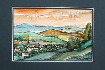 Radu Bercea - Peregrin 2011. Bucovina