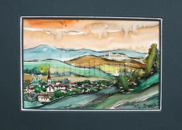 Radu Bercea - Peregrin 2011. Bucovina