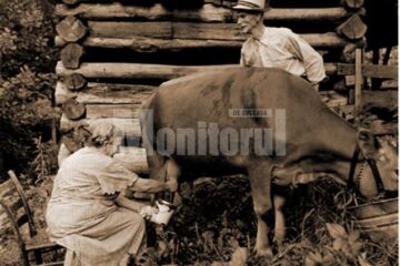 “Expoziția zootehnică din Câmpulung”