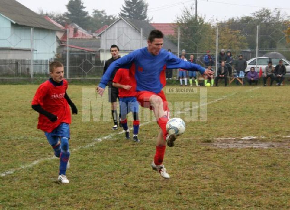 Bradul Putna, prea puternică pentru Liga a V-a