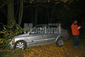 Scăpată de sub control, mașina a derapat, a părăsit carosabilul și a lovit un copac