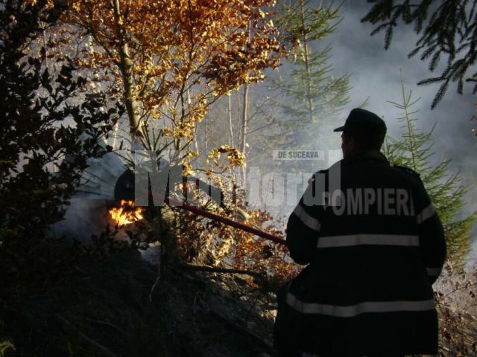 Cadrele ISU și silvicultorii au reușit să împiedice flăcările să ajungă la pădure