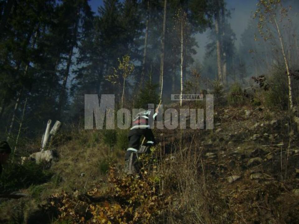 Cadrele ISU și silvicultorii au reușit să împiedice flăcările să ajungă la pădure