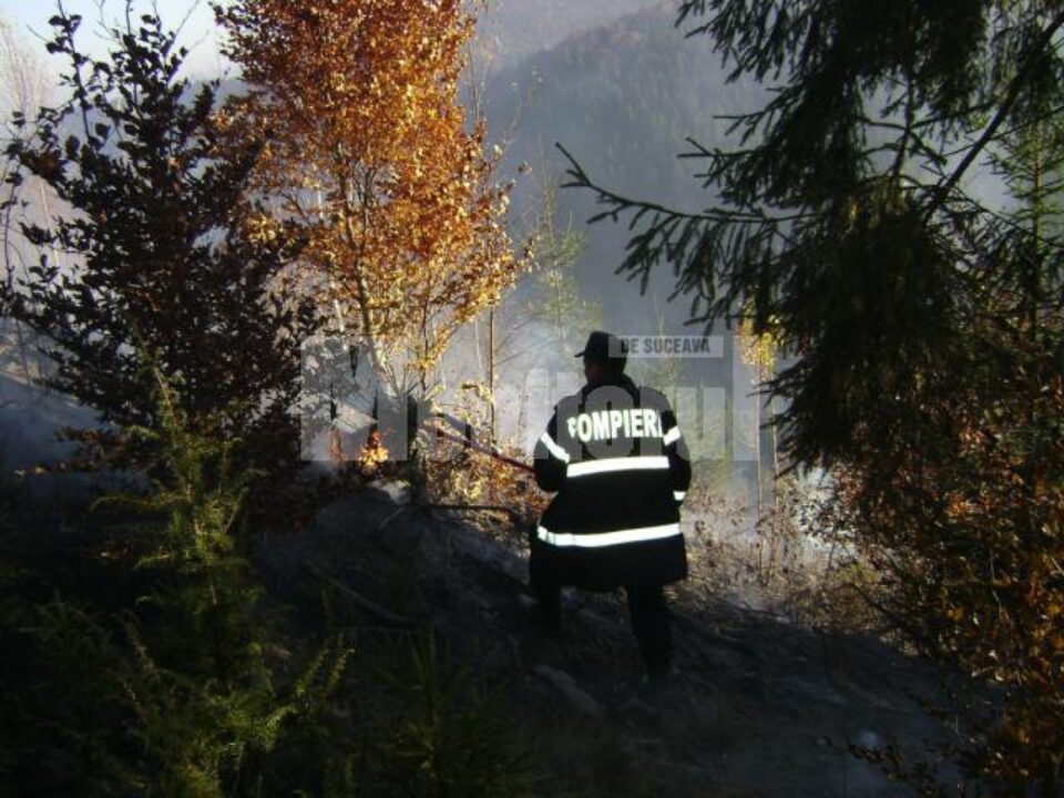 Cadrele ISU și silvicultorii au reușit să împiedice flăcările să ajungă la pădure