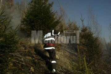 Cadrele ISU și silvicultorii au reușit să împiedice flăcările să ajungă la pădure