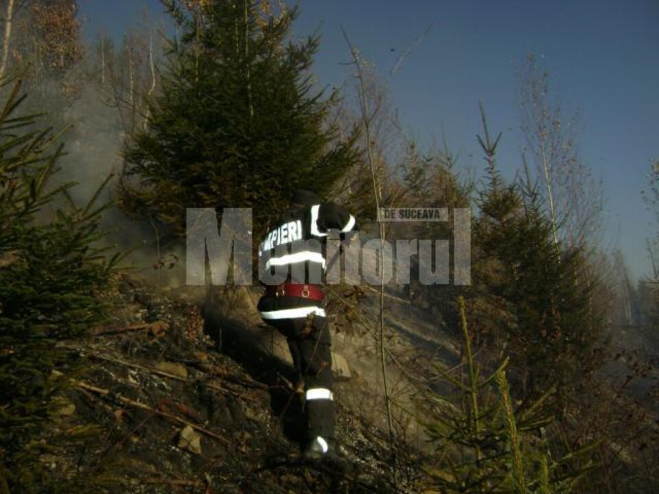 Cadrele ISU și silvicultorii au reușit să împiedice flăcările să ajungă la pădure