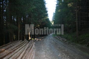 Ocolul Silva Bucovina a încheiat de la înființare și până în prezent contracte cu aproximativ 50 de agenți economici locali