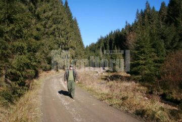 Districtul Argestru se întinde pe o suprafață de 1958 de hectare