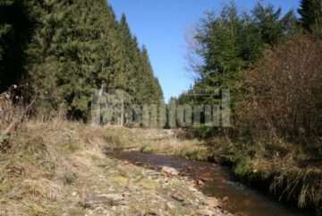 Districtul Argestru se întinde pe o suprafață de 1958 de hectare