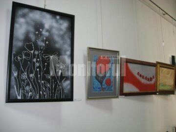 Secvență din expoziție