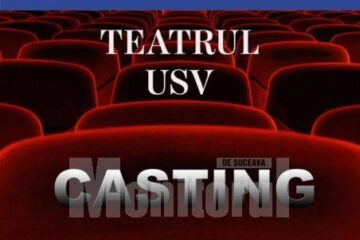 Casting pentru Teatrul USV