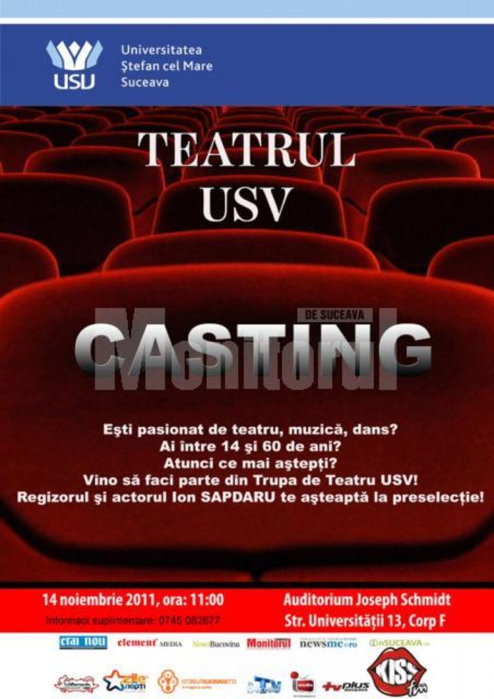 Casting Teatru USV