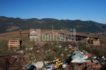 Ce a mai rămas din adăpostul pentru câini comunitari din municipiul Câmpulung Moldovenesc