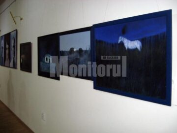Lucrări din expoziția Lumina văzută