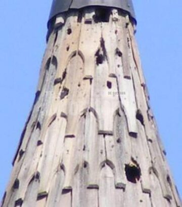 Zone afectate de la Biserica Pătrăuți