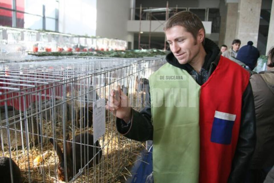 Cristi Câtea are o fermă de iepuri