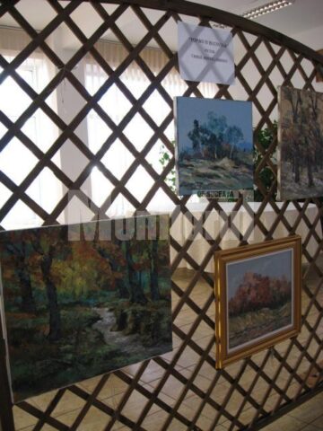 Secvență din expoziție