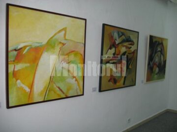 Secvență din expoziție