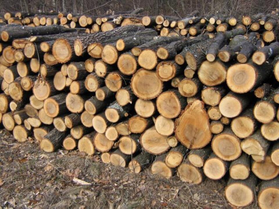 Subvenții pentru achiziționarea lemnului necesar încălzirii locuințelor vor fi date pentru 34.575 de familii din județ Subvenții pentru achiziționarea lemnului necesar încălzirii locuințelor vor fi date pentru 34.575 de familii din județ