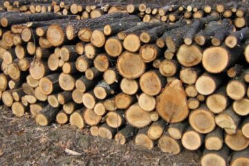 Subvenții pentru achiziționarea lemnului necesar încălzirii locuințelor vor fi date pentru 34.575 de familii din județ