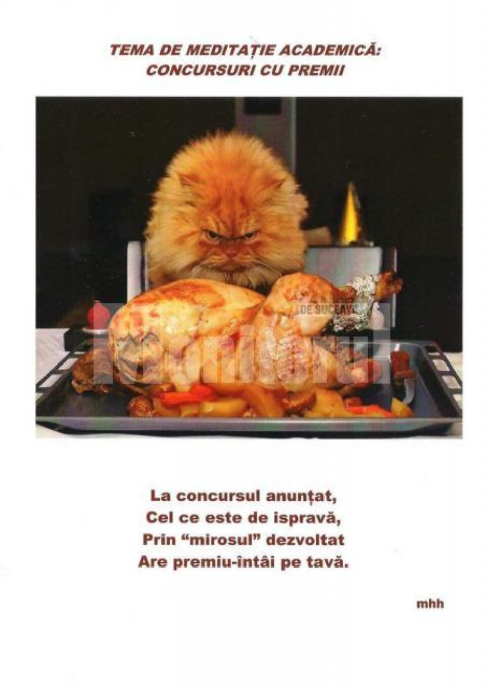 Temă de meditație academică