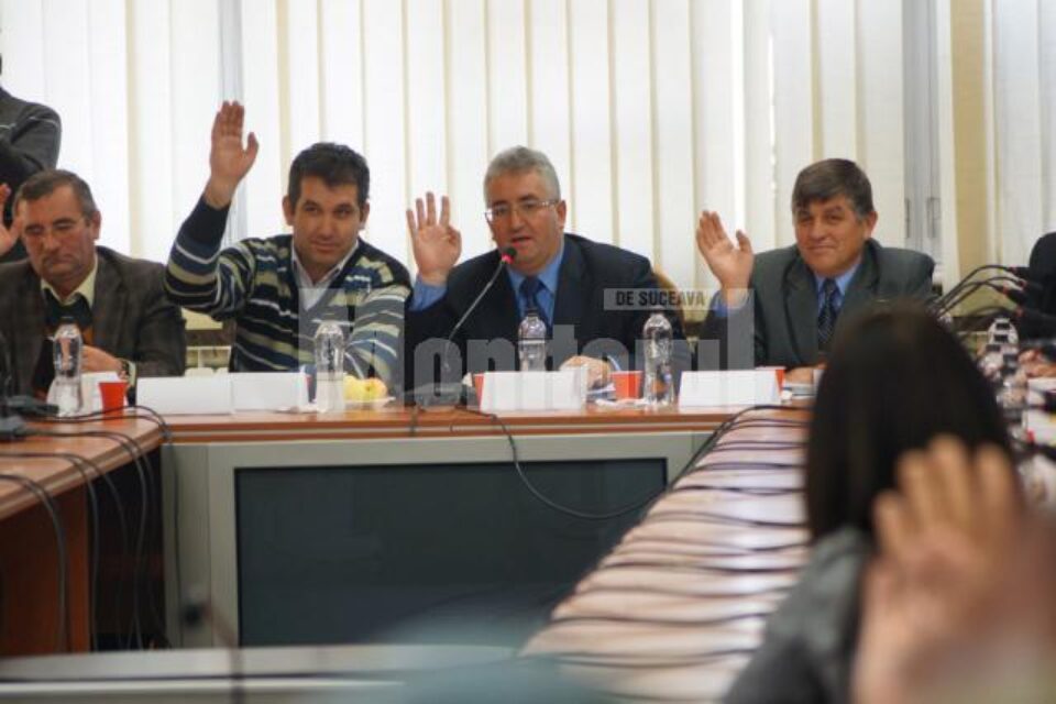 Primul vot al conducerii Zonei Metropolitane Suceava