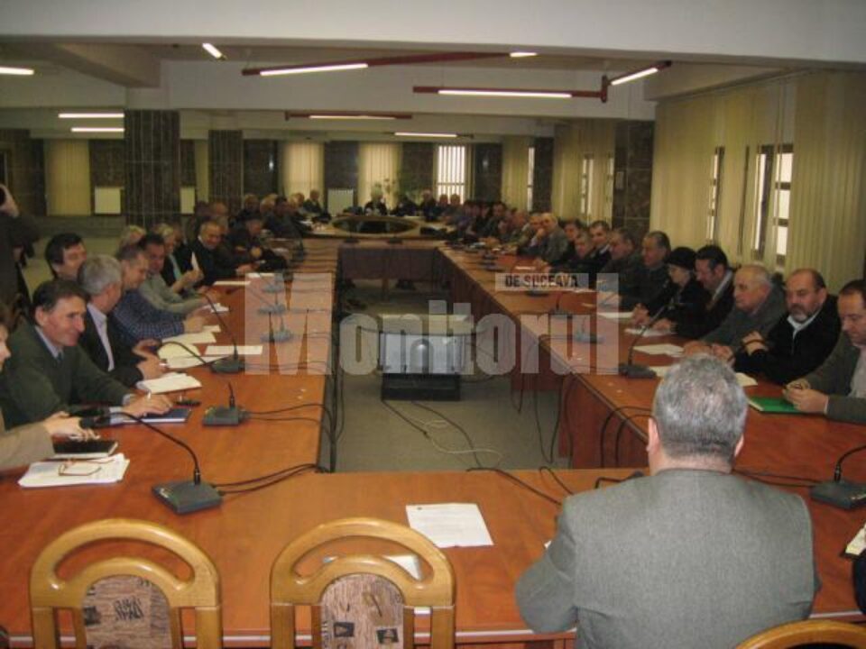 Consultarea populației cu privire la soarta câinilor vagabonzi va fi făcută prin intermediul asociațiilor de proprietari
