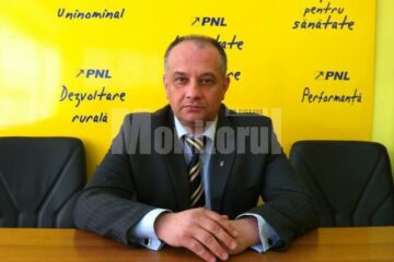 Liderul PNL Suceava, Alexandru Băișanu