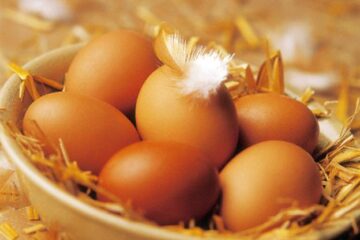 Comercializarea ouălor marcate cu codul "3", interzisă de anul viitor