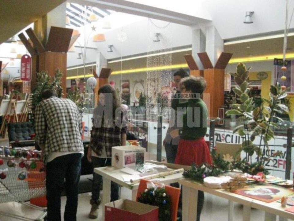Acțiune caritabilă a unui grup de elevi de la Colegiul Național “Petru Rareș”