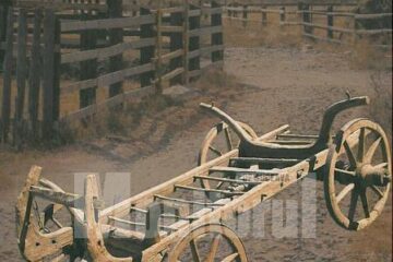 Valerie Deleanu: „Mijloace de transport populare din România”