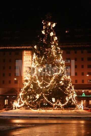 Humorenii au asistat la aprinderea luminilor din bradul de Crăciun