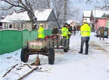 Accident căruță Păltinoasa