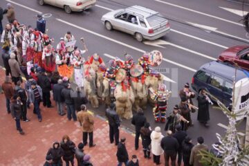 Cete de urători și colindători, pe străzile Sucevei
