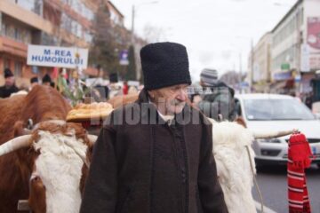 Cete de urători și colindători, pe străzile Sucevei