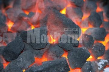 „În presara anului nou”