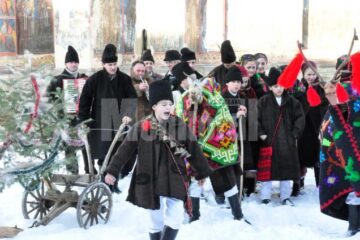 Plugușorul de Sf. Vasile, la Mănăstirea Moldovița