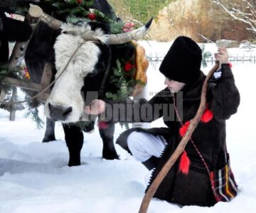 Plugușorul de Sf. Vasile, la Mănăstirea Moldovița