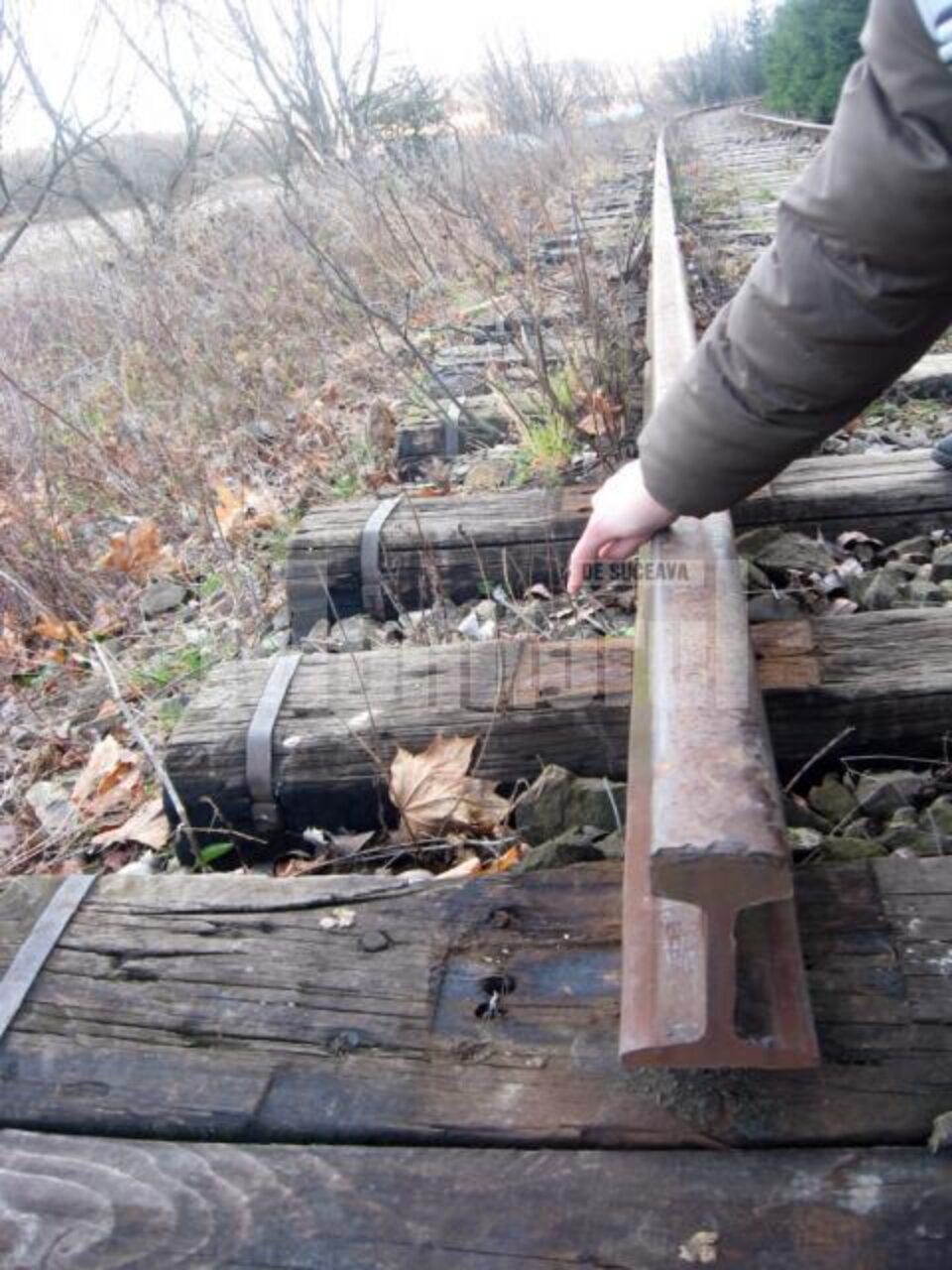 Zona de cale ferată Gura Putnei - Straja, unde au acționat hoții