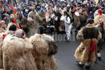 Urșii din cartierul 2 Grăniceri