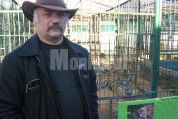 Dorin Șoimaru: „Eu am mai mulți tigri și am spus că pot da unul și la Sibiu”