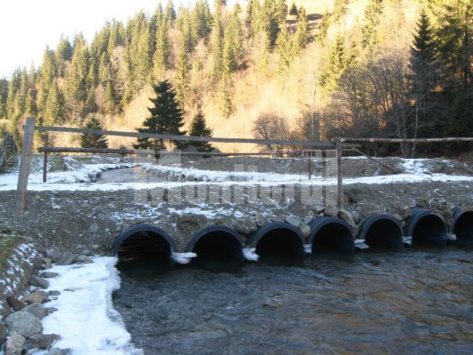 Pe o porțiune de circa 200 de metri, utilajele firmei Energy BV au mușcat adânc din natură Pe o porțiune de circa 200 de metri, utilajele firmei Energy BV au mușcat adânc din natură