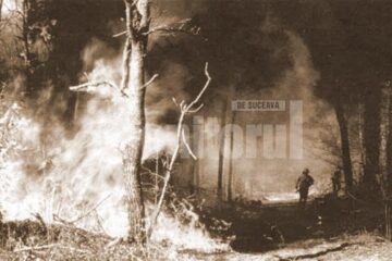„Pădure incendiată”
