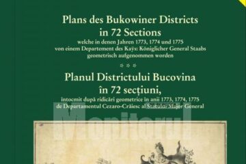 Planul Districtului Bucovina