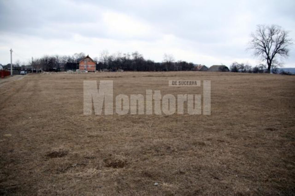 Suprafață de teren de 2,7 hectare constituie mărul discordiei dintre soții Maria și Dumitru Bucaciuc și Neculai Marian, preot caterisit de Arhiepiscopia Sucevei și Rădăuților Suprafață de teren de 2,7 hectare constituie mărul discordiei dintre soții Maria și Dumitru Bucaciuc și Neculai Marian, preot caterisit de Arhiepiscopia Sucevei și Rădăuților