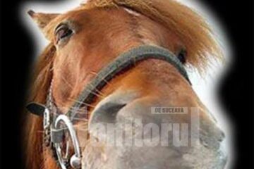 „A vrut să intre călare în...biserică”